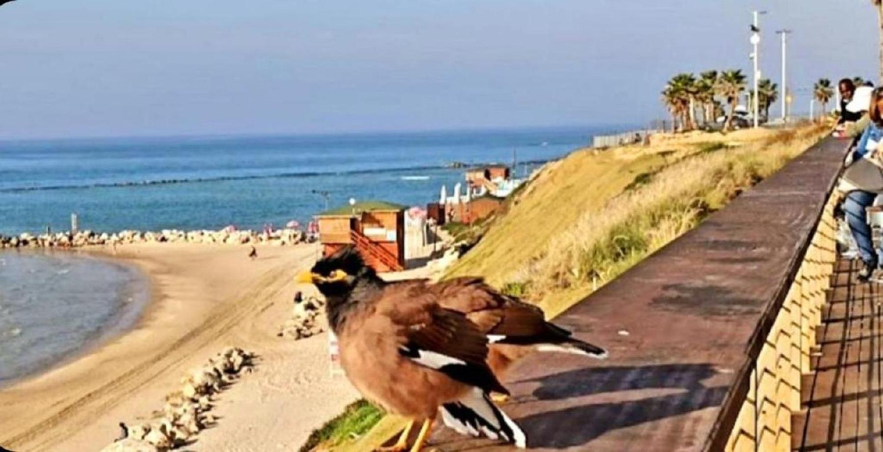 Motel Hofim Bat Yam Bagian luar foto